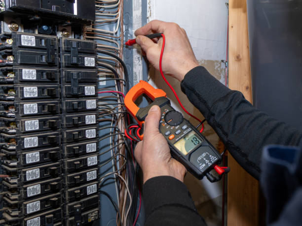 Best Electrical System Inspection  in Belvidere, IL